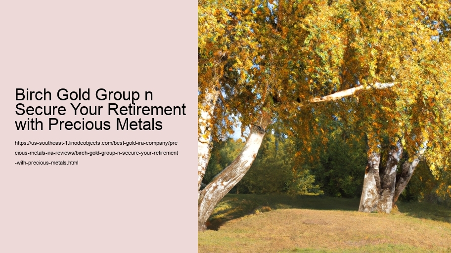Birch Gold Group n Secure Your Retirement with Precious Metals