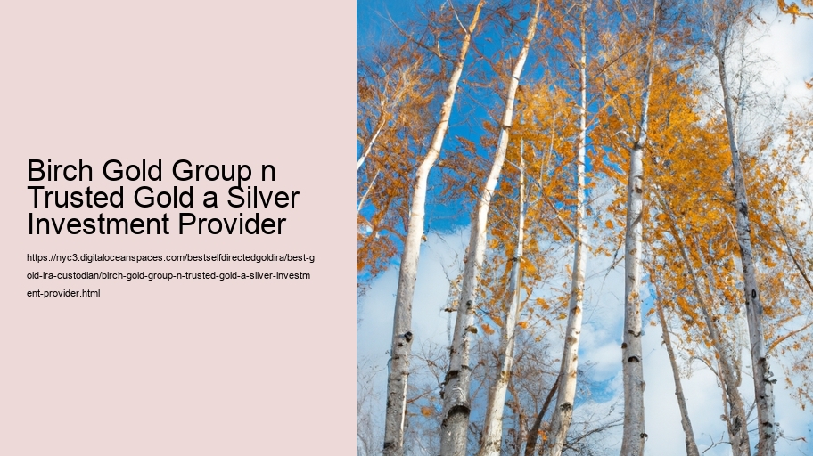 Birch Gold Group n Trusted Gold a Silver Investment Provider