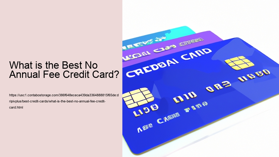 What is the Best No Annual Fee Credit Card? 