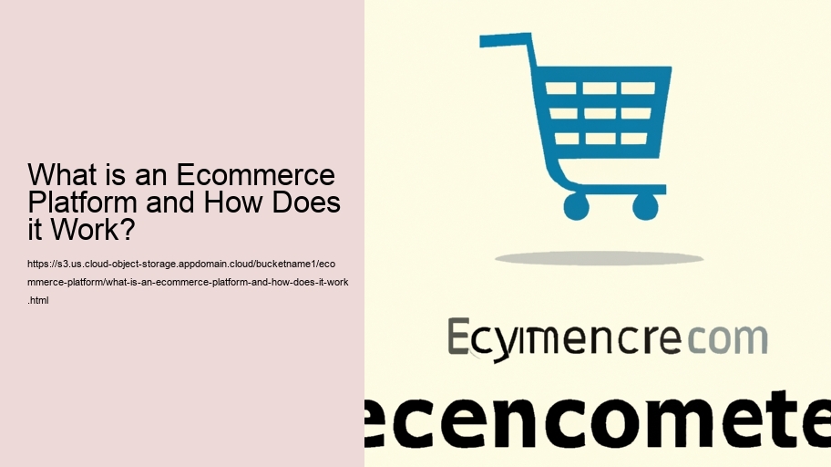 What is an Ecommerce Platform and How Does it Work?