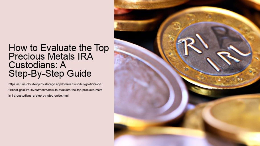 How to Evaluate the Top Precious Metals IRA Custodians: A Step-By-Step Guide