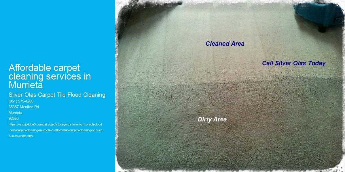 Affordable carpet cleaning services in Murrieta