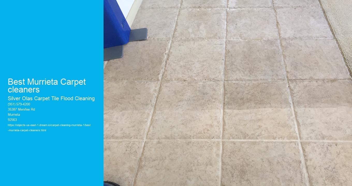 Best Murrieta Carpet cleaners