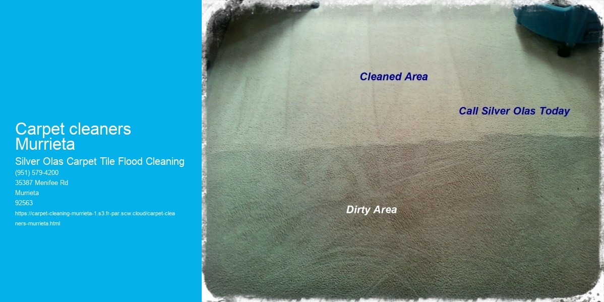 Carpet cleaners Murrieta