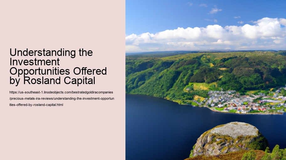 Understanding the Investment Opportunities Offered by Rosland Capital