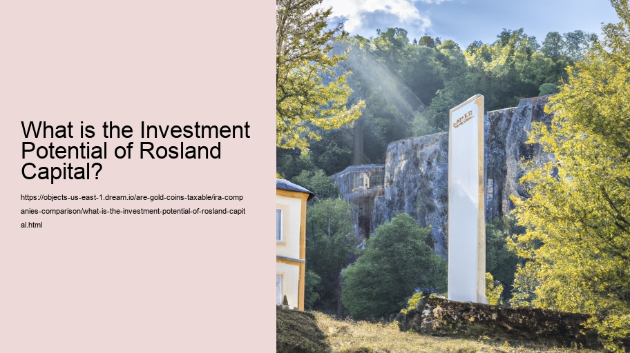 What is the Investment Potential of Rosland Capital?