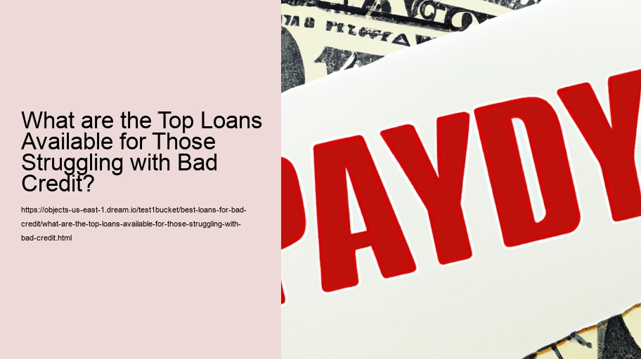 What are the Top Loans Available for Those Struggling with Bad Credit? 