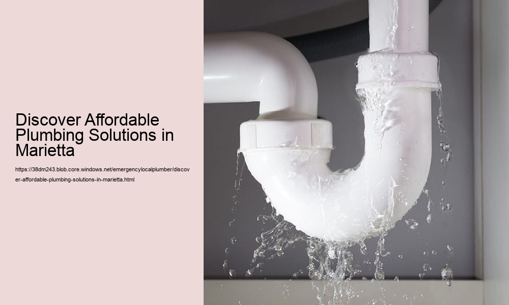 Discover Affordable Plumbing Solutions in Marietta