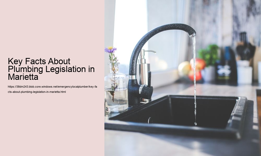 Key Facts About Plumbing Legislation in Marietta