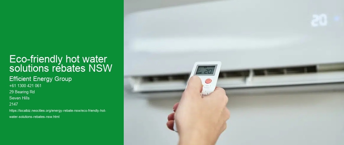 Eco-friendly hot water solutions rebates NSW