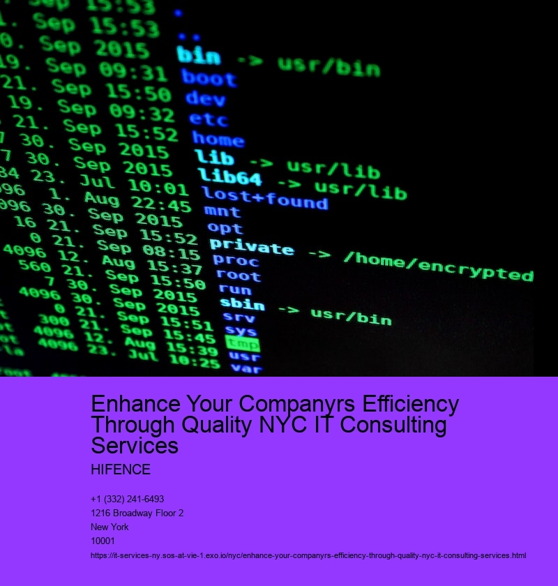 Enhance Your Companyrs Efficiency Through Quality NYC IT Consulting Services 