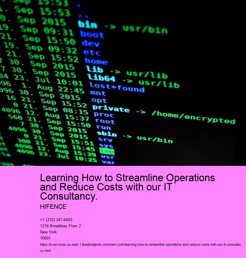 Learning How to Streamline Operations and Reduce Costs with our IT Consultancy.