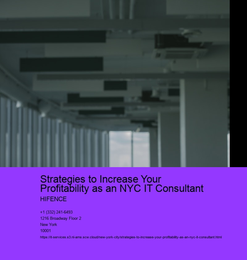 Strategies to Increase Your Profitability as an NYC IT Consultant 