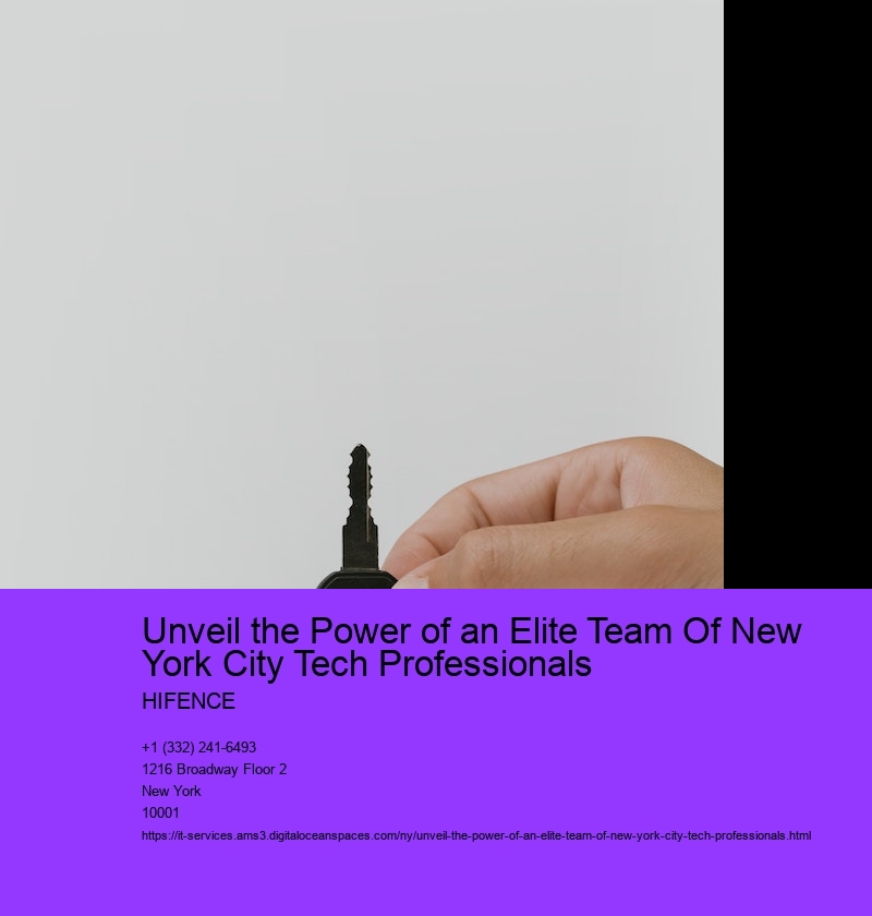 Unveil the Power of an Elite Team Of New York City Tech Professionals   
