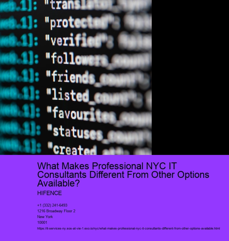 What Makes Professional NYC IT Consultants Different From Other Options Available? 