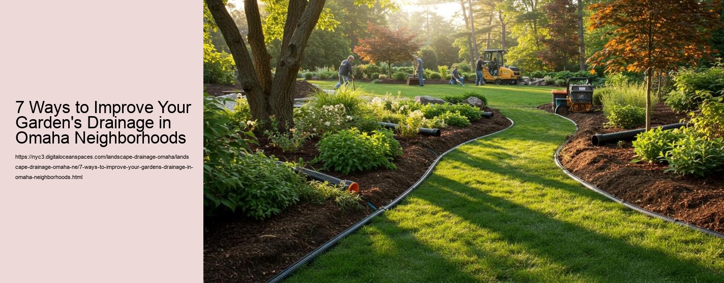 7 Ways to Improve Your Garden's Drainage in Omaha Neighborhoods