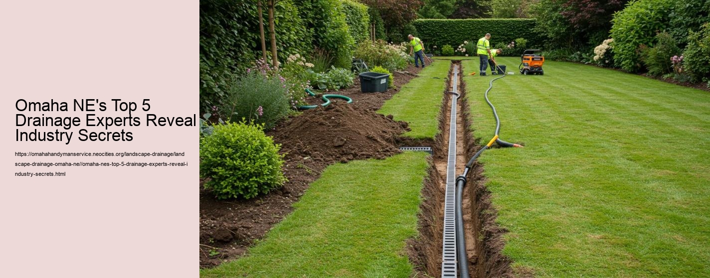 Omaha NE's Top 5 Drainage Experts Reveal Industry Secrets