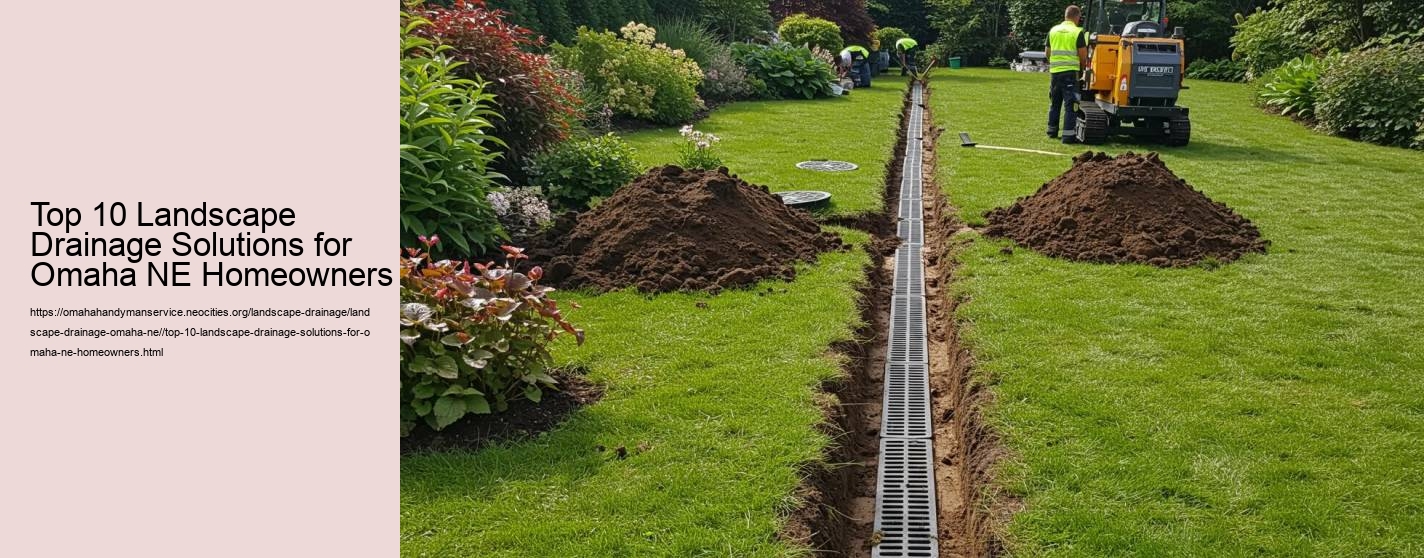 Top 10 Landscape Drainage Solutions for Omaha NE Homeowners