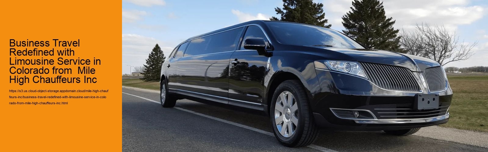Business Travel Redefined with Limousine Service in Colorado from  Mile High Chauffeurs Inc