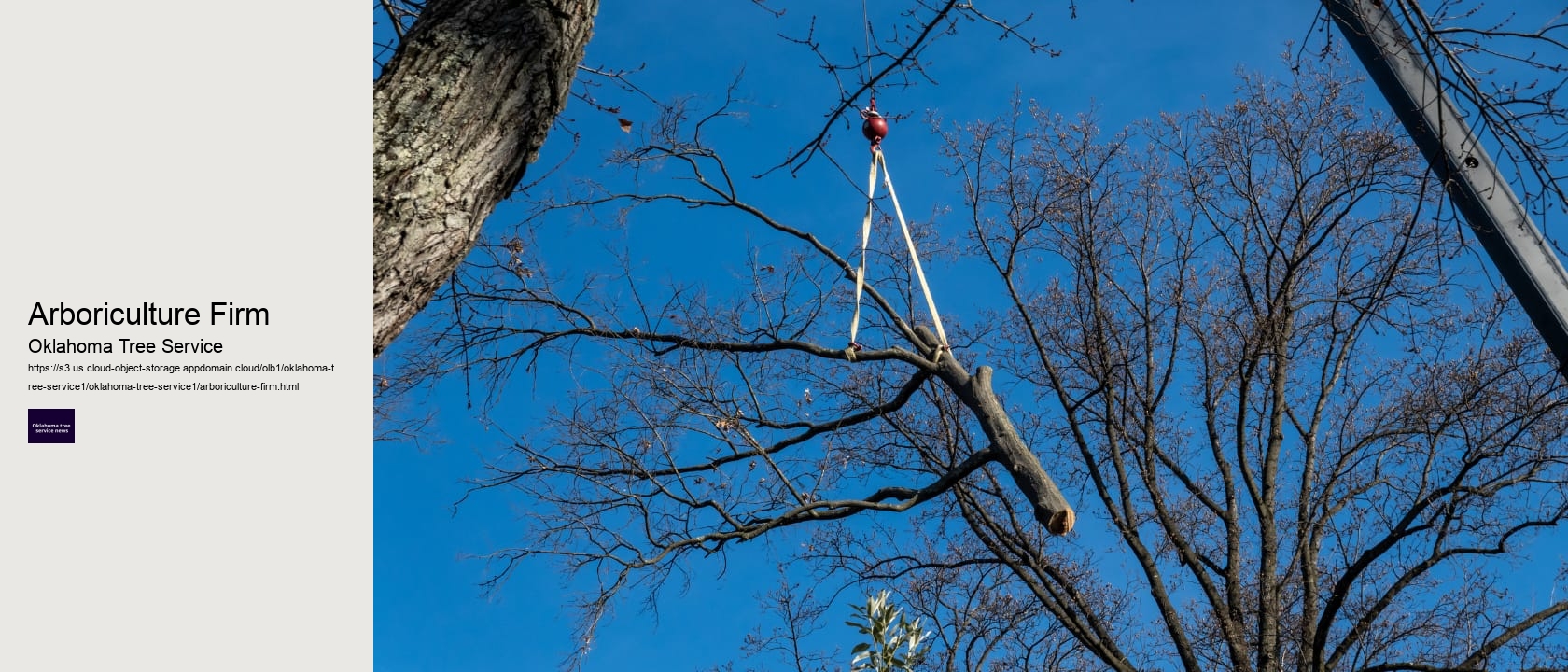 Arboriculture Firm