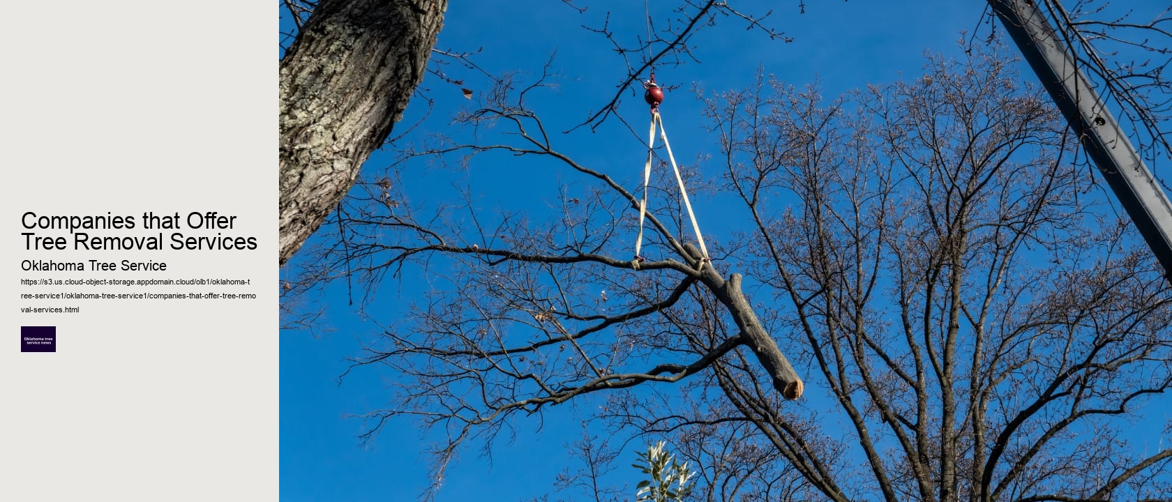 Companies that Offer Tree Removal Services