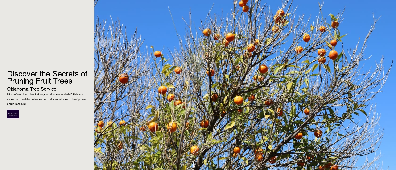 Discover the Secrets of Pruning Fruit Trees 