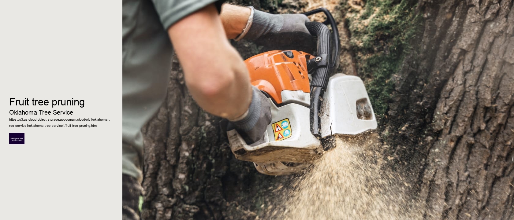 Fruit tree pruning