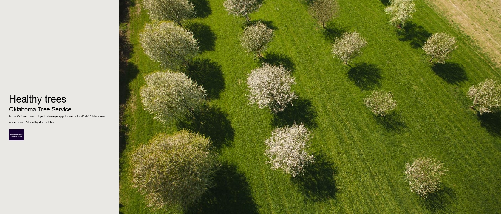 healthy trees