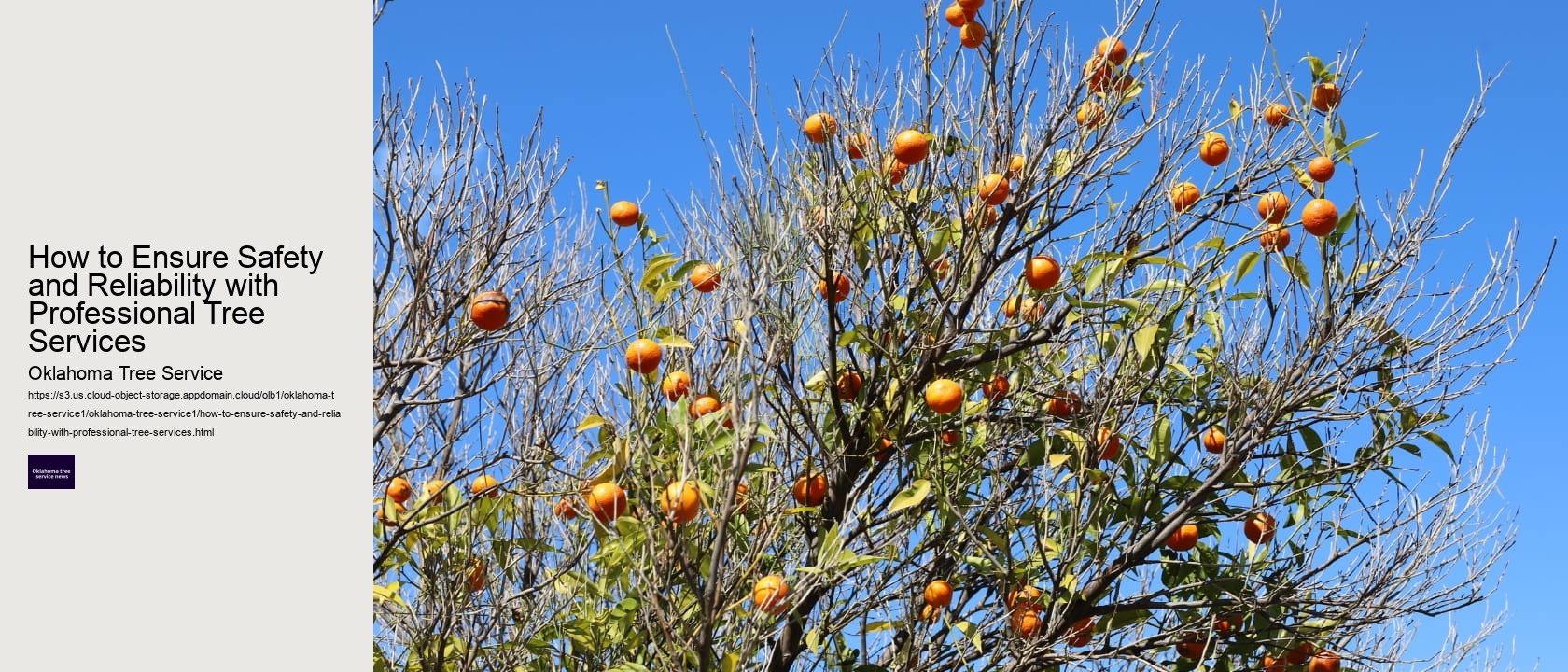 How to Ensure Safety and Reliability with Professional Tree Services 