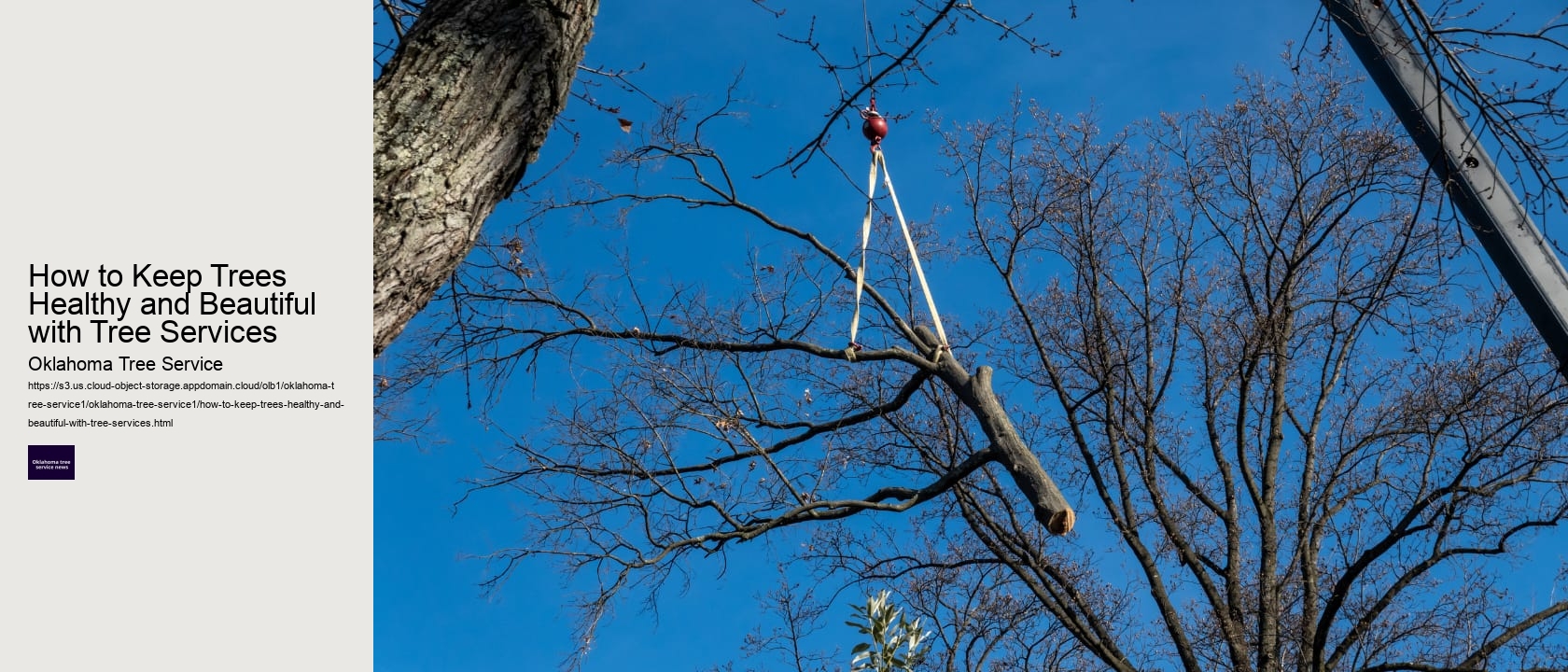 How to Keep Trees Healthy and Beautiful with Tree Services 