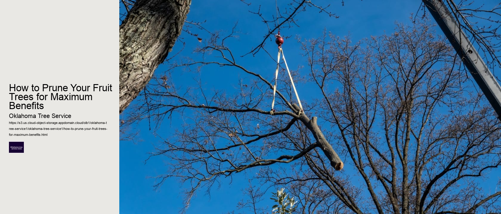 How to Prune Your Fruit Trees for Maximum Benefits 