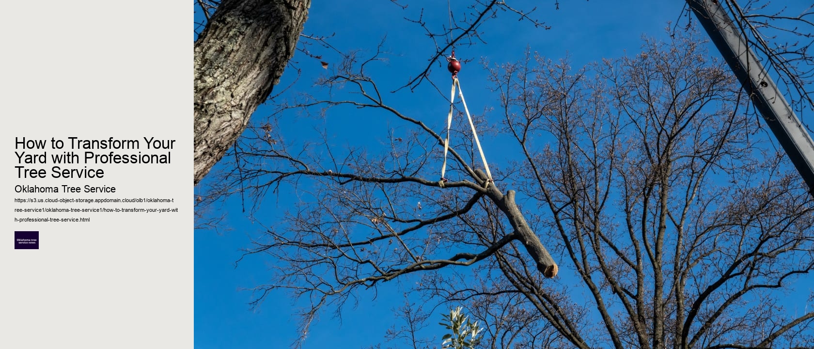 How to Transform Your Yard with Professional Tree Service 