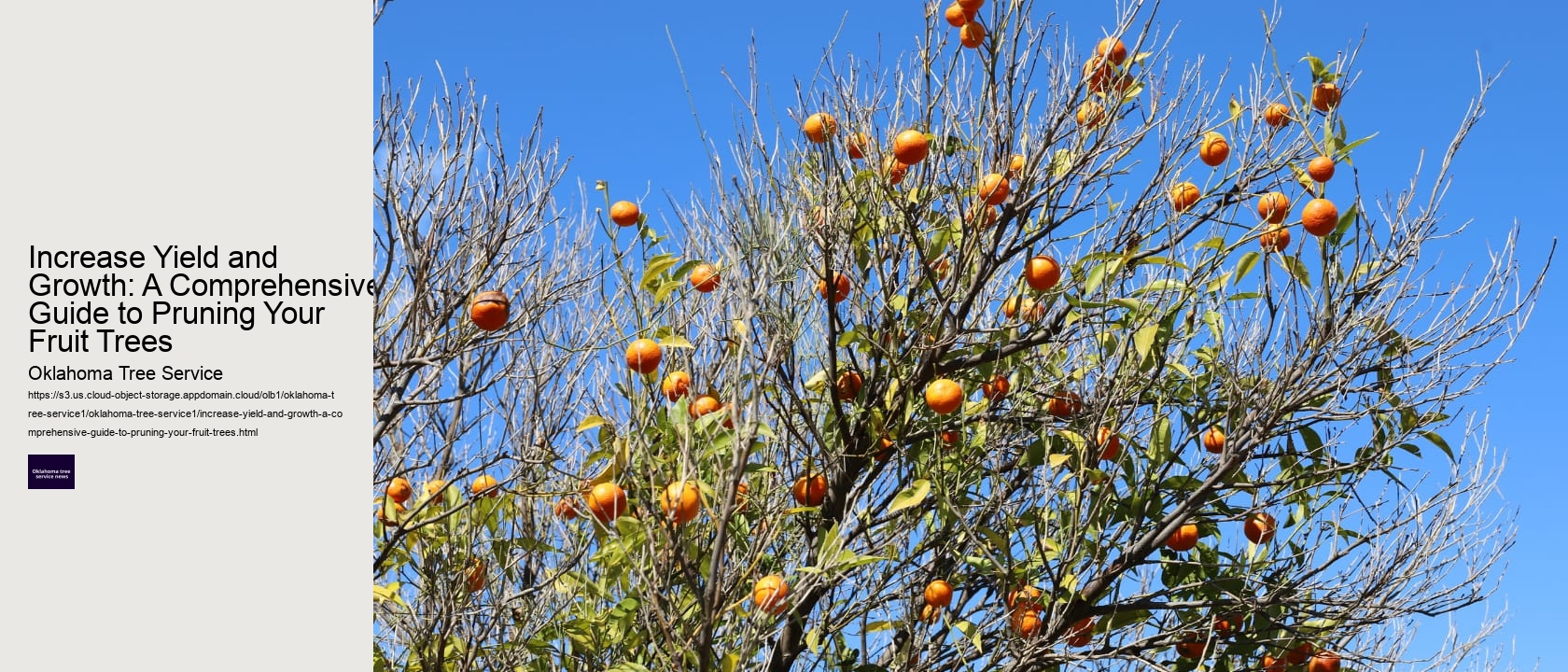 Increase Yield and Growth: A Comprehensive Guide to Pruning Your Fruit Trees 