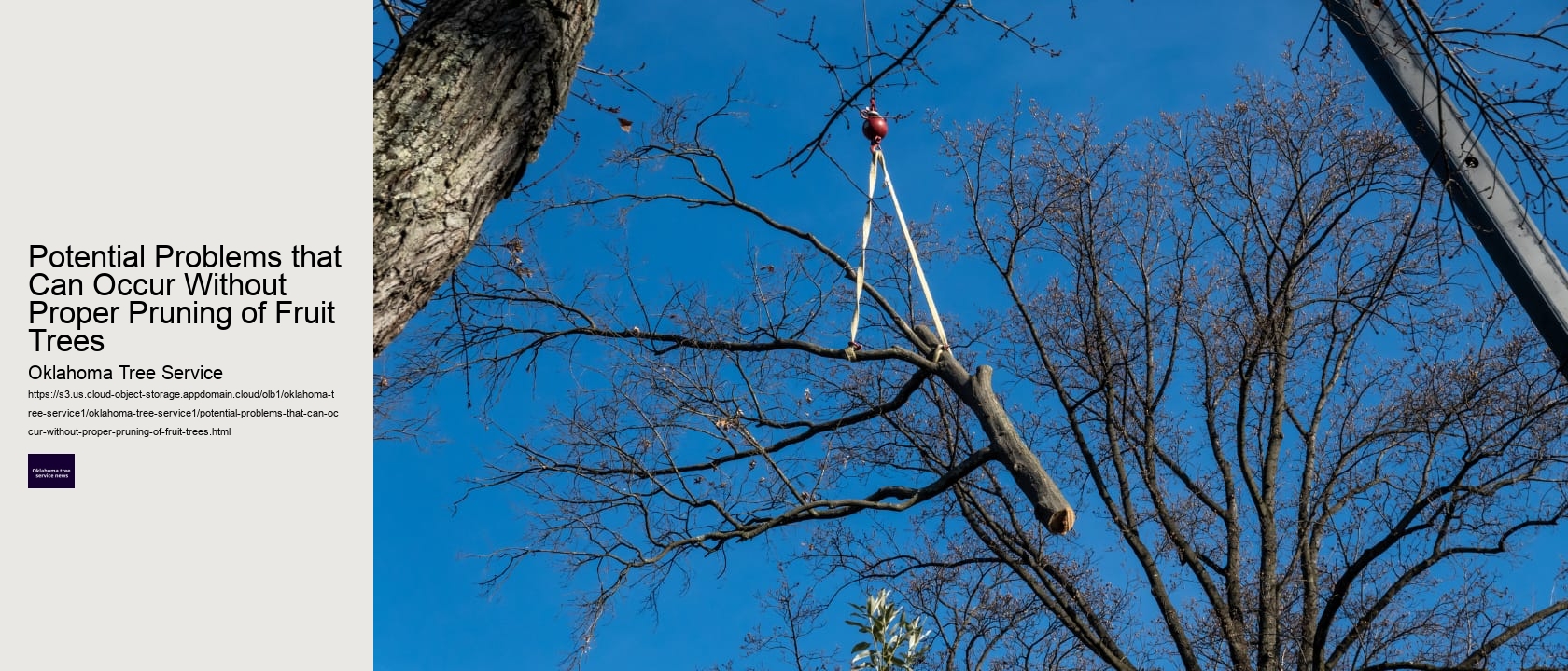 Potential Problems that Can Occur Without Proper Pruning of Fruit Trees 