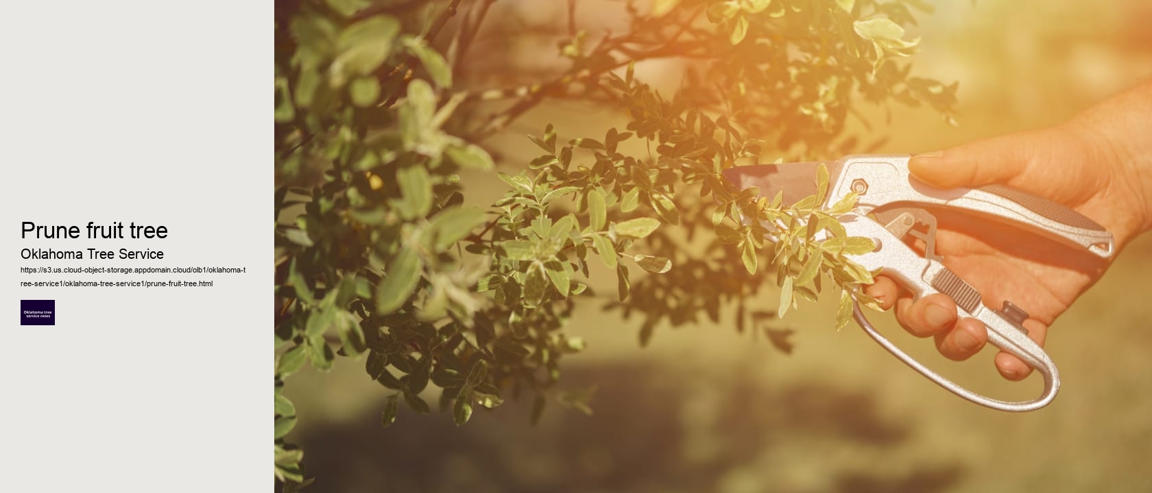 Prune fruit tree