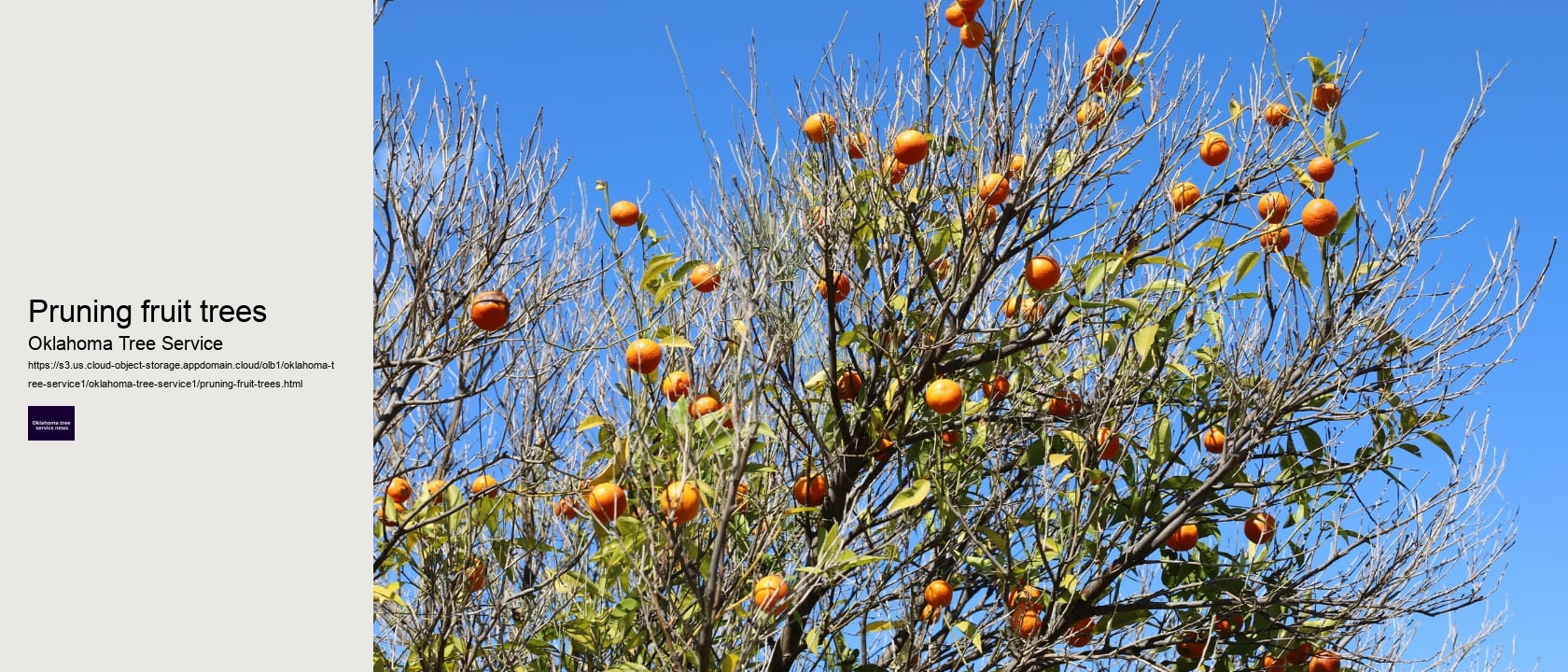 Pruning fruit trees