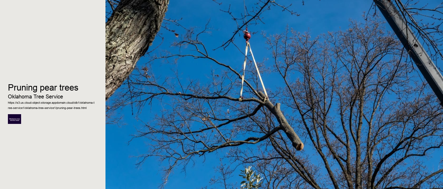 Pruning pear trees