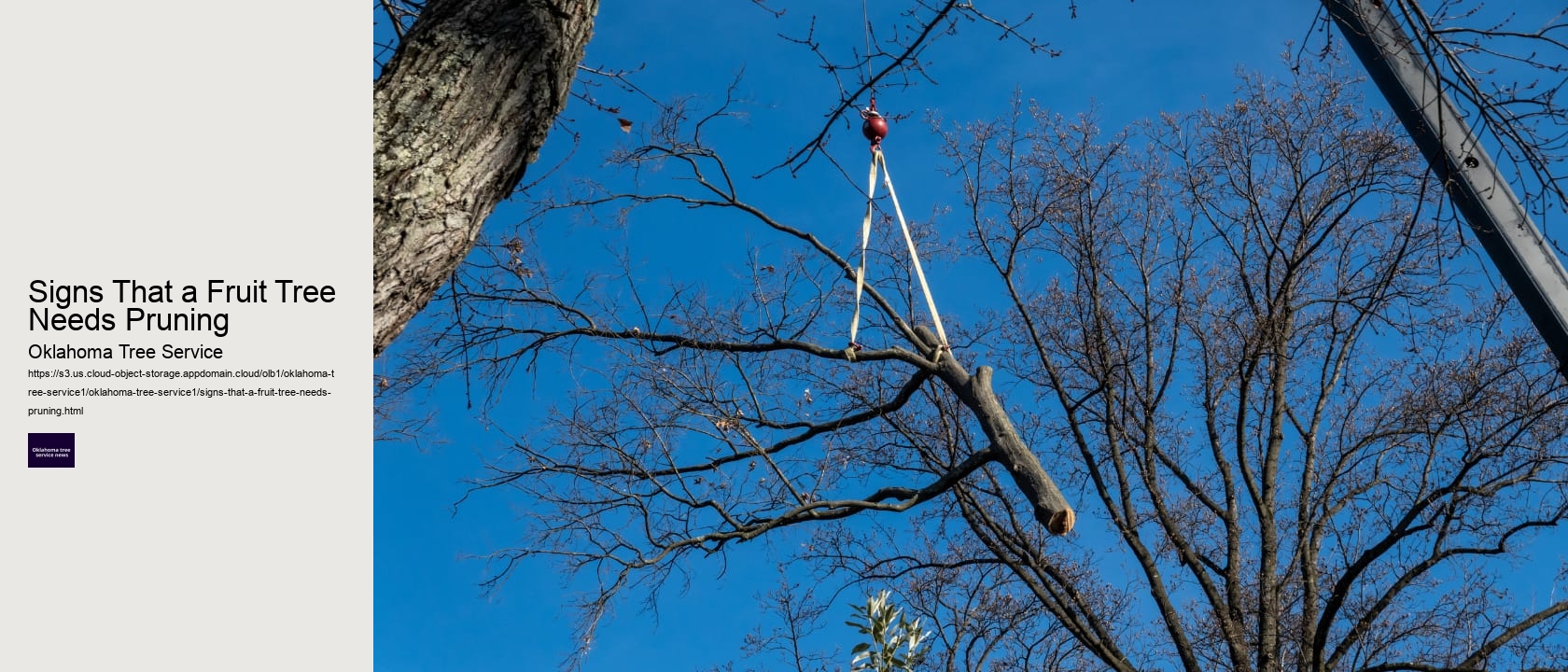 Signs That a Fruit Tree Needs Pruning 