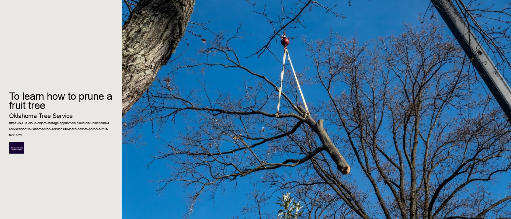 To learn how to prune a fruit tree