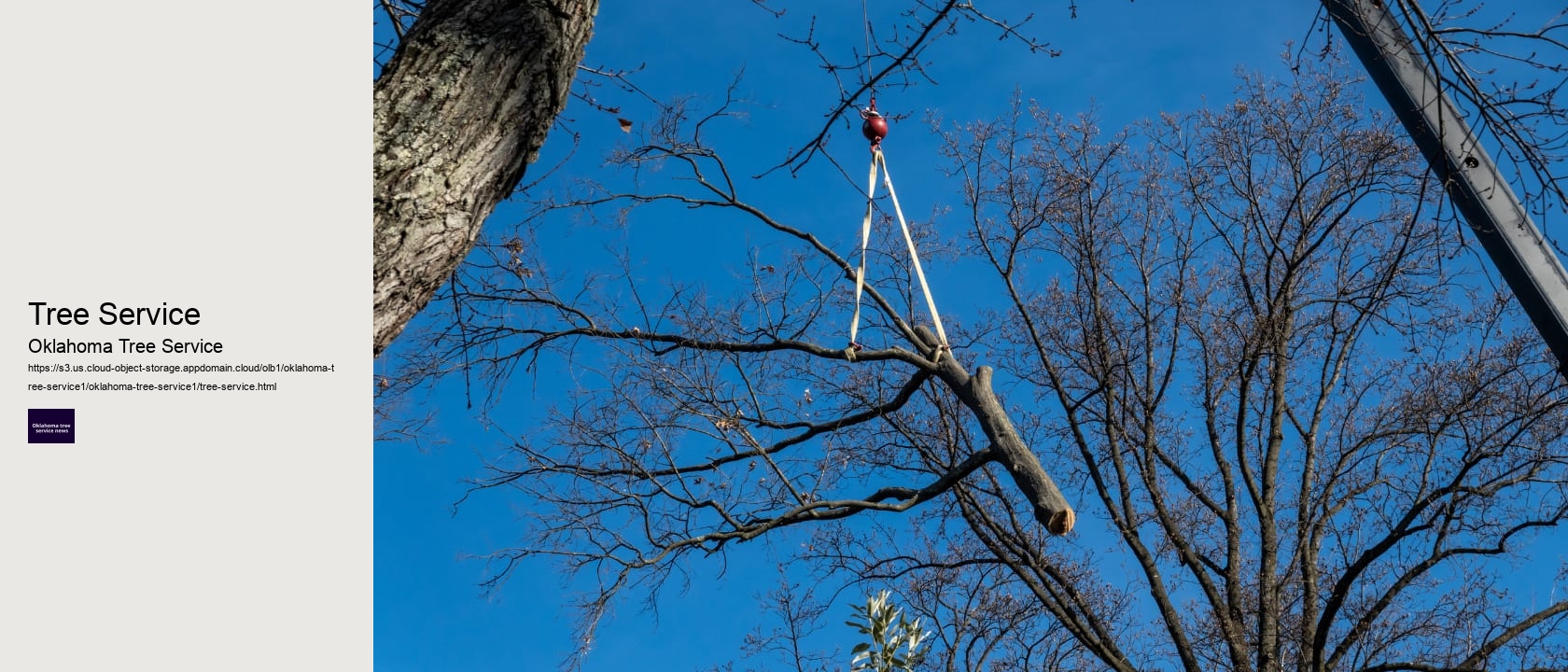 Tree Service