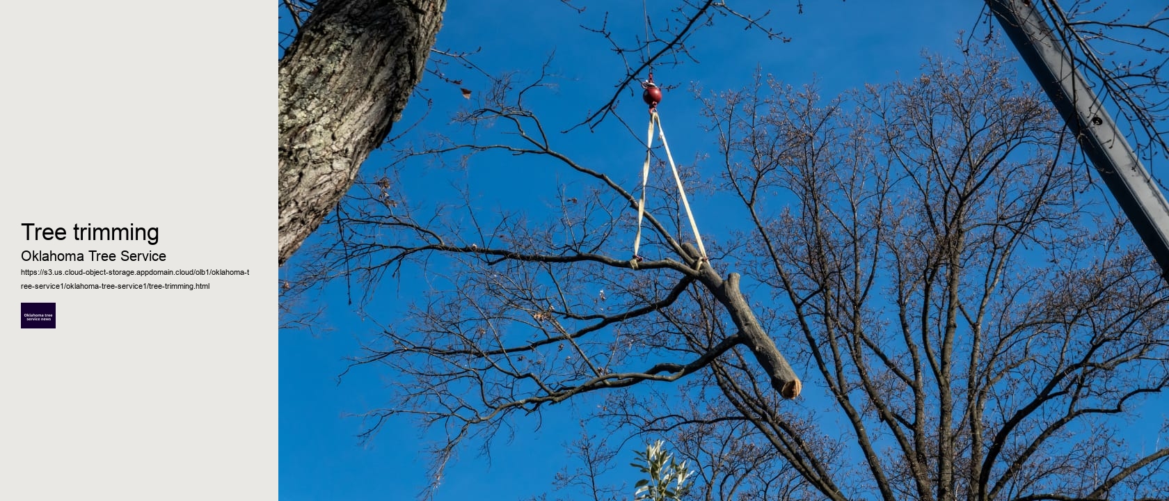 Tree trimming