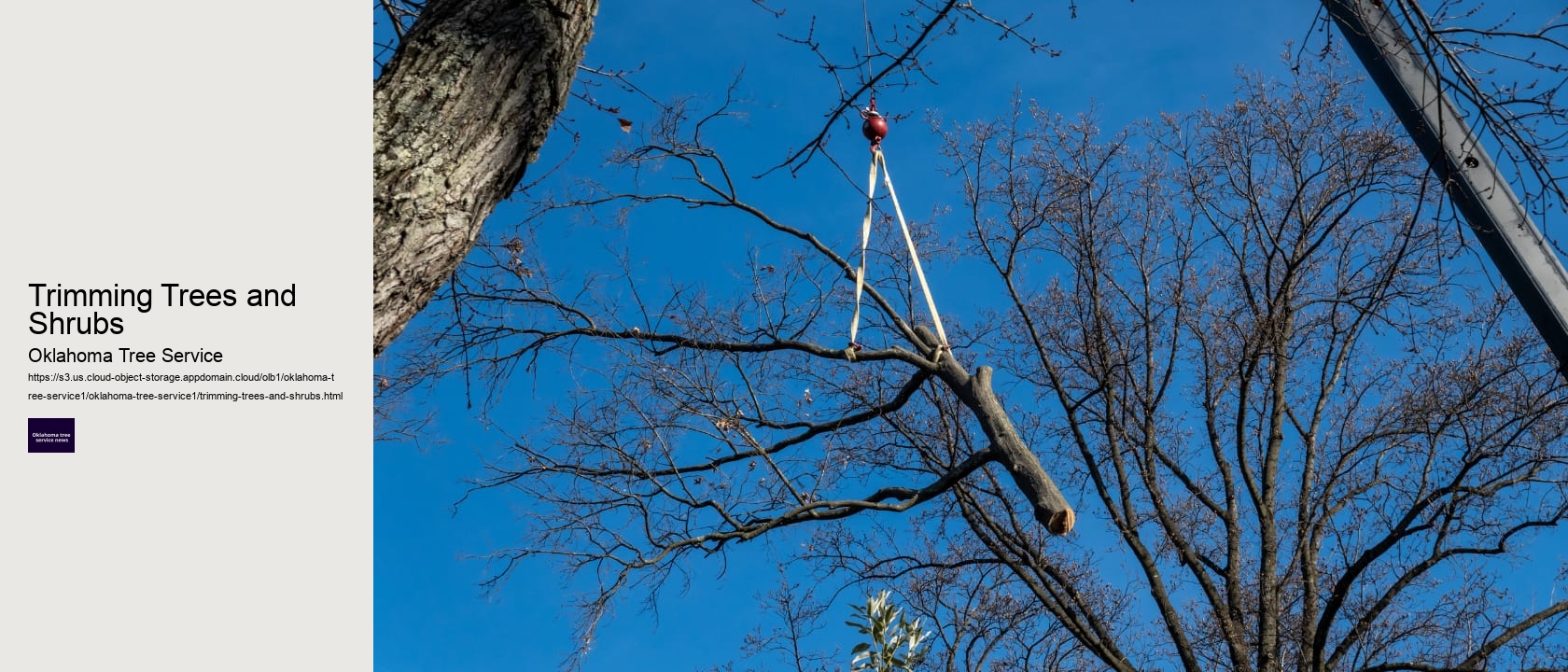 Trimming Trees and Shrubs