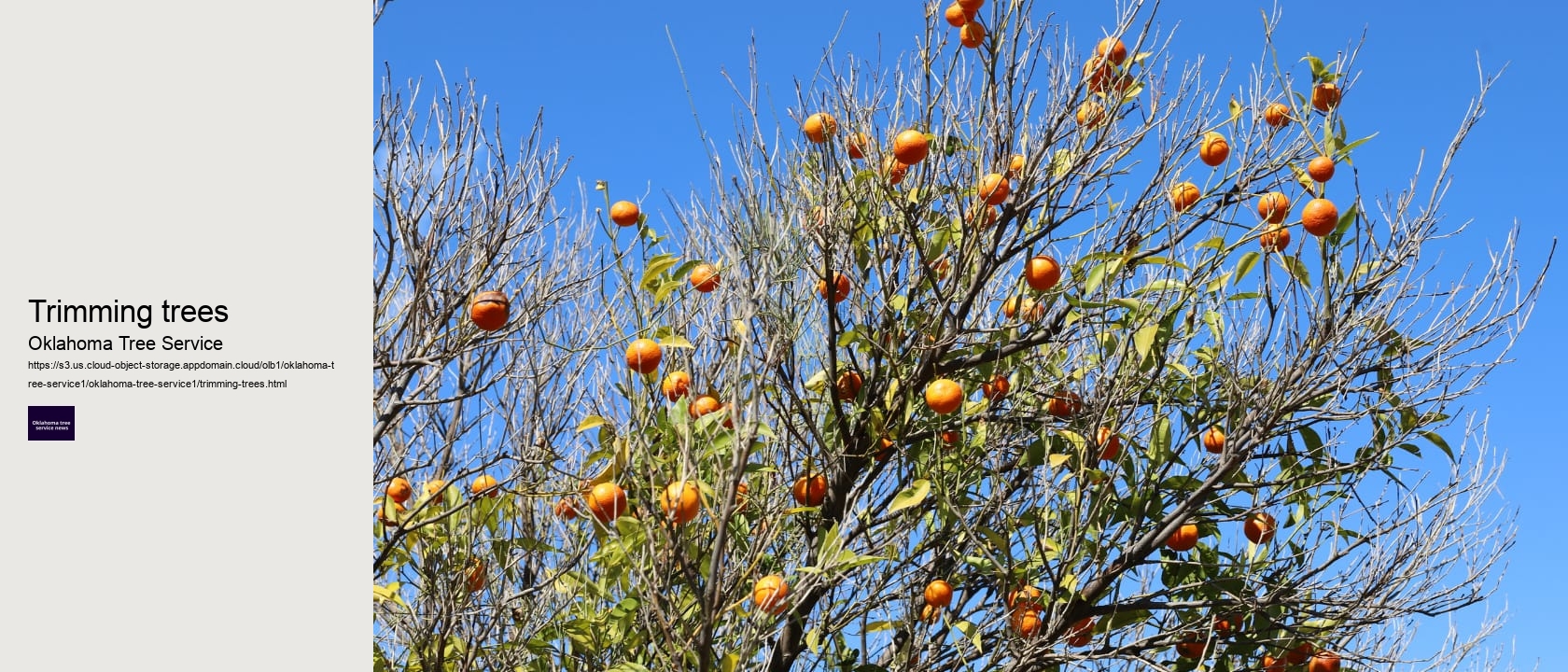 Trimming trees