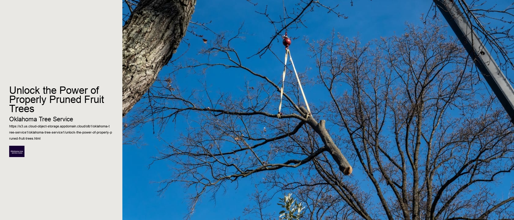 Unlock the Power of Properly Pruned Fruit Trees 