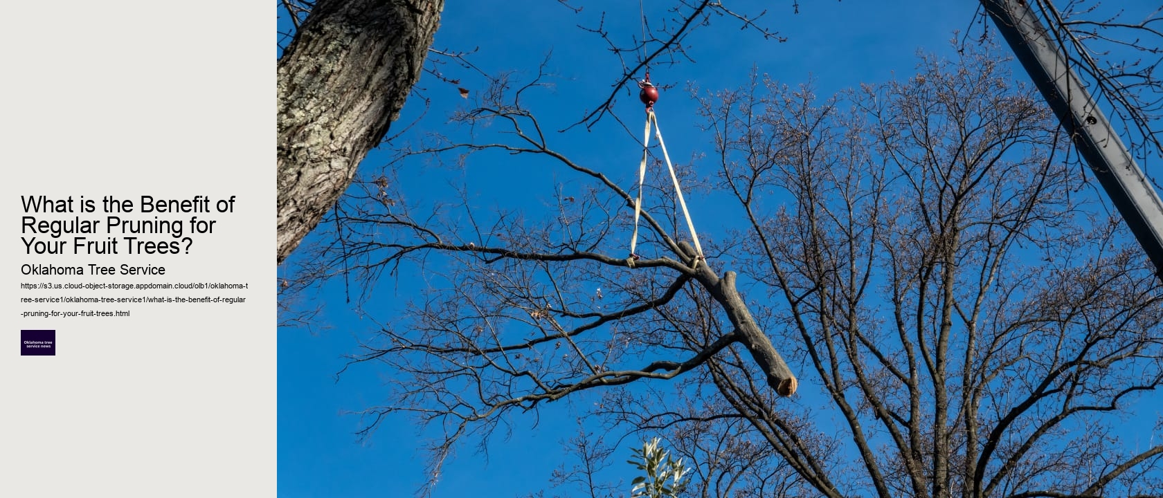 What is the Benefit of Regular Pruning for Your Fruit Trees? 