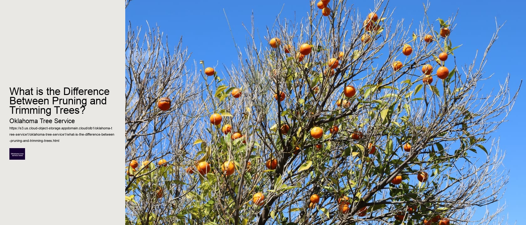 What is the Difference Between Pruning and Trimming Trees? 