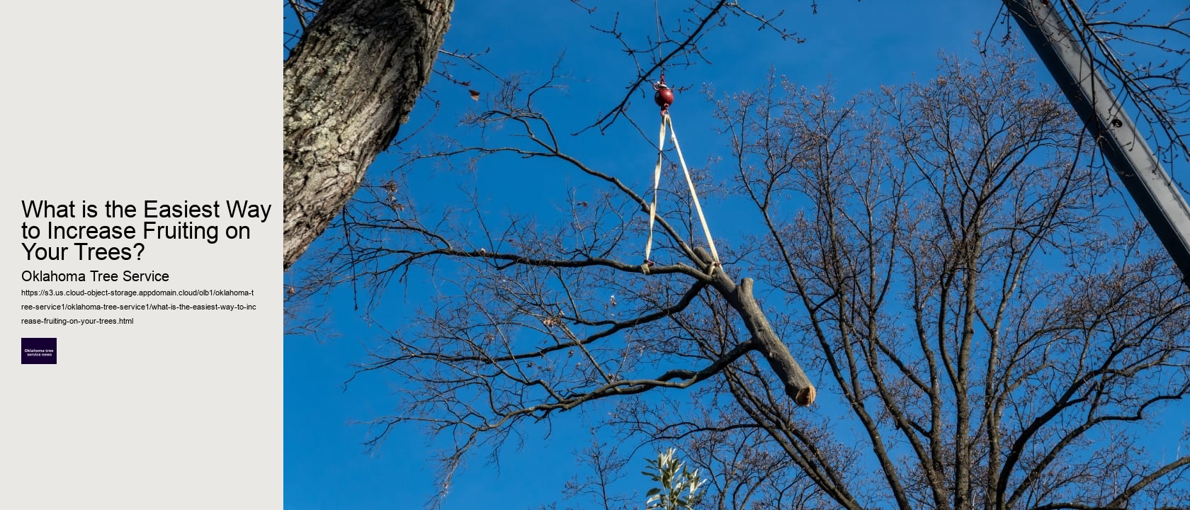 What is the Easiest Way to Increase Fruiting on Your Trees?