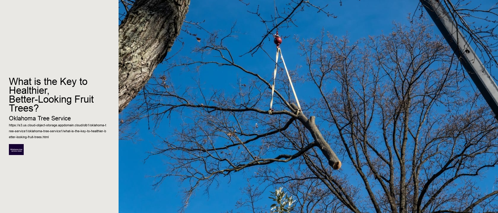 What is the Key to Healthier, Better-Looking Fruit Trees? 