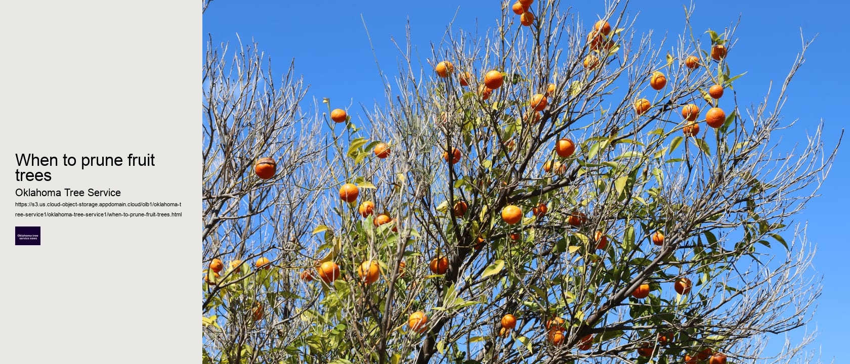 When to prune fruit trees