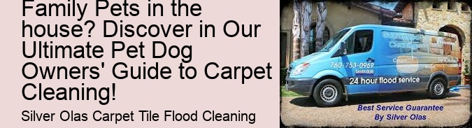 What is the Secret to Maintaining Your Carpets Spotless with Family Pets in the house? Discover in Our Ultimate Pet Dog Owners' Guide to Carpet Cleaning!